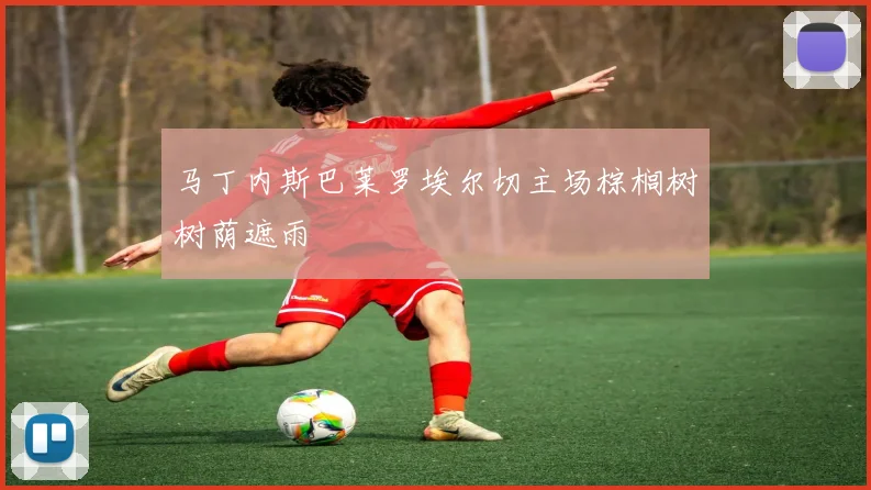 马丁内斯巴莱罗埃尔切主场棕榈树树荫遮雨