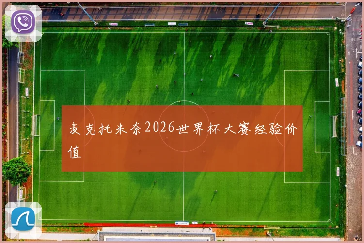麦克托米奈2026世界杯大赛经验价值