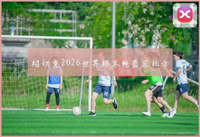 绍切克2026世界杯末轮首发机会