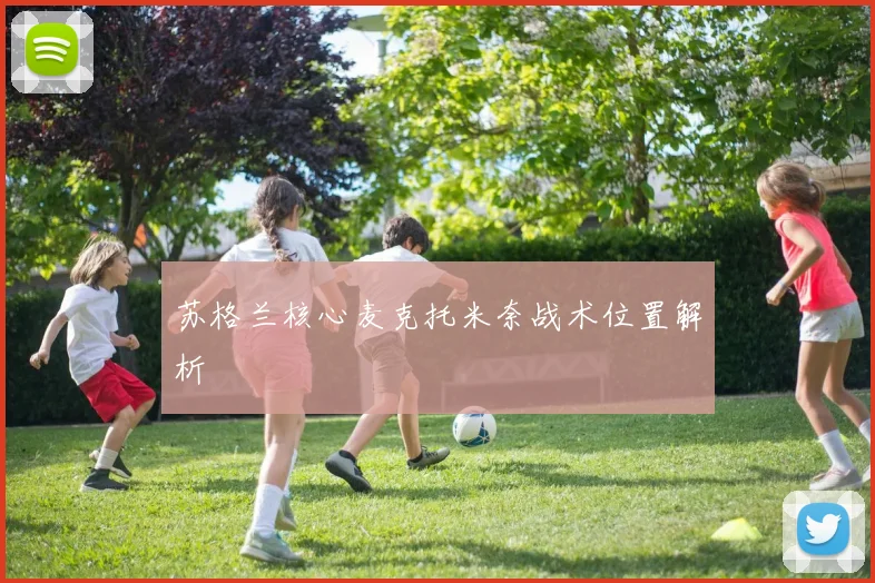 苏格兰核心麦克托米奈战术位置解析