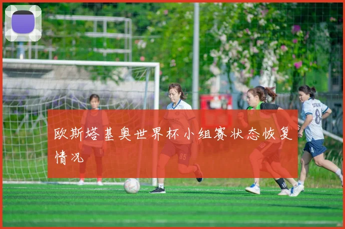 欧斯塔基奥世界杯小组赛状态恢复情况