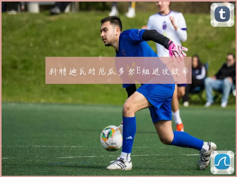 科特迪瓦对厄瓜多尔E组进攻效率